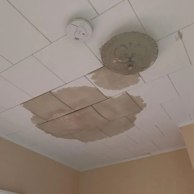 Ceiling Water Damage Repair in Lindenhurst, NY